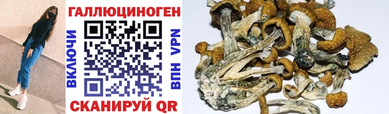 ссылка на мегу ССЫЛКА  Ворсма  Галлюциногенные грибы ЛСД  где купить наркоту 